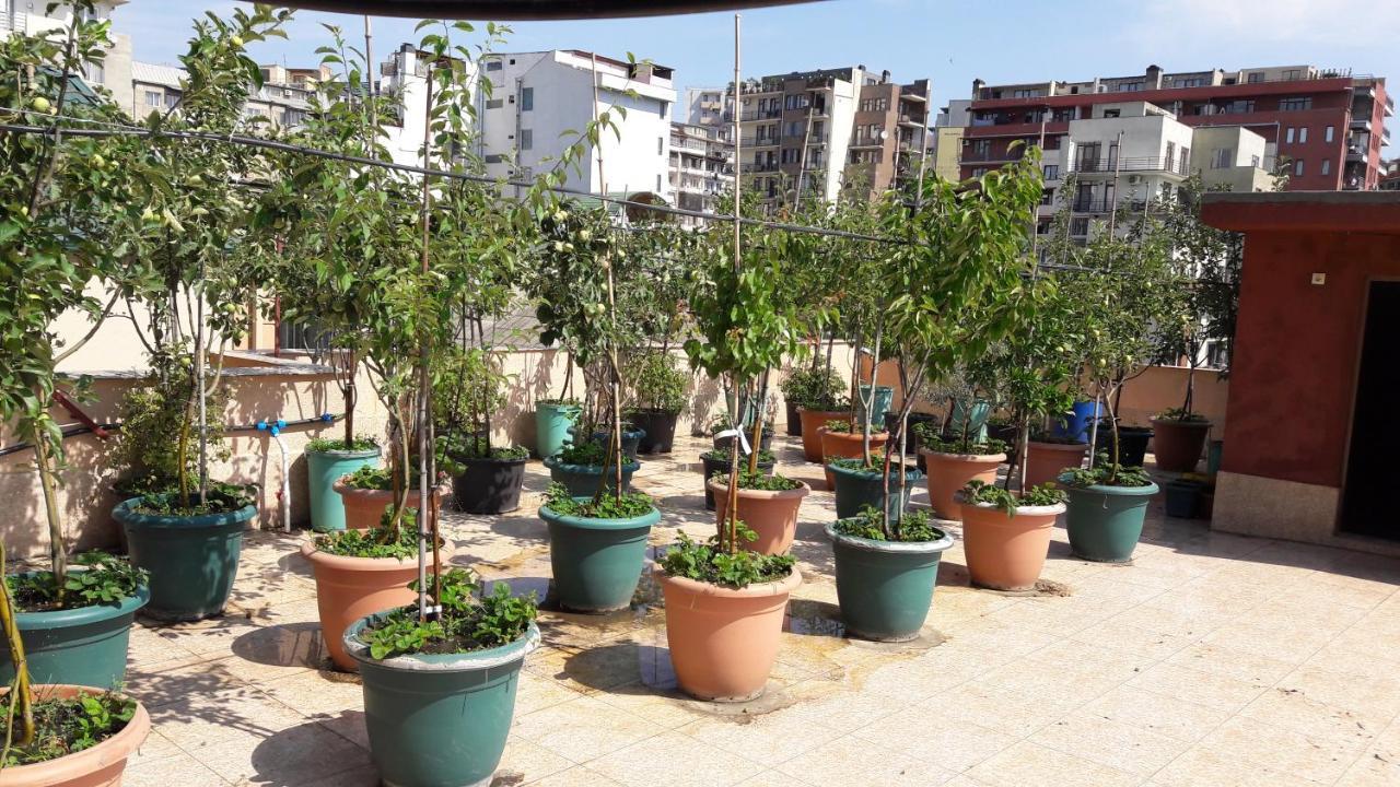 Aparthotel Otin Τυφλίδα Εξωτερικό φωτογραφία